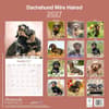 image Wirehaired Dachshund 2027 Wall Calendar