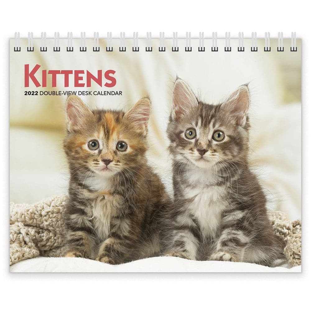 Kittens 2022 Easel Calendar