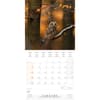 image Magic Owls 2025 Wall Calendar Second Alternate Image width="1000" height="1000"