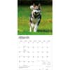 image Alaskan Malamutes 2027 Wall Calendar Second Alternate Image