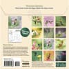 image Audubon Hummingbirds and Beyond 2026 Wall Calendar First alternate Image