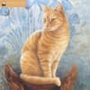 image Ivory Cats 2025 Wall Calendar Main Image