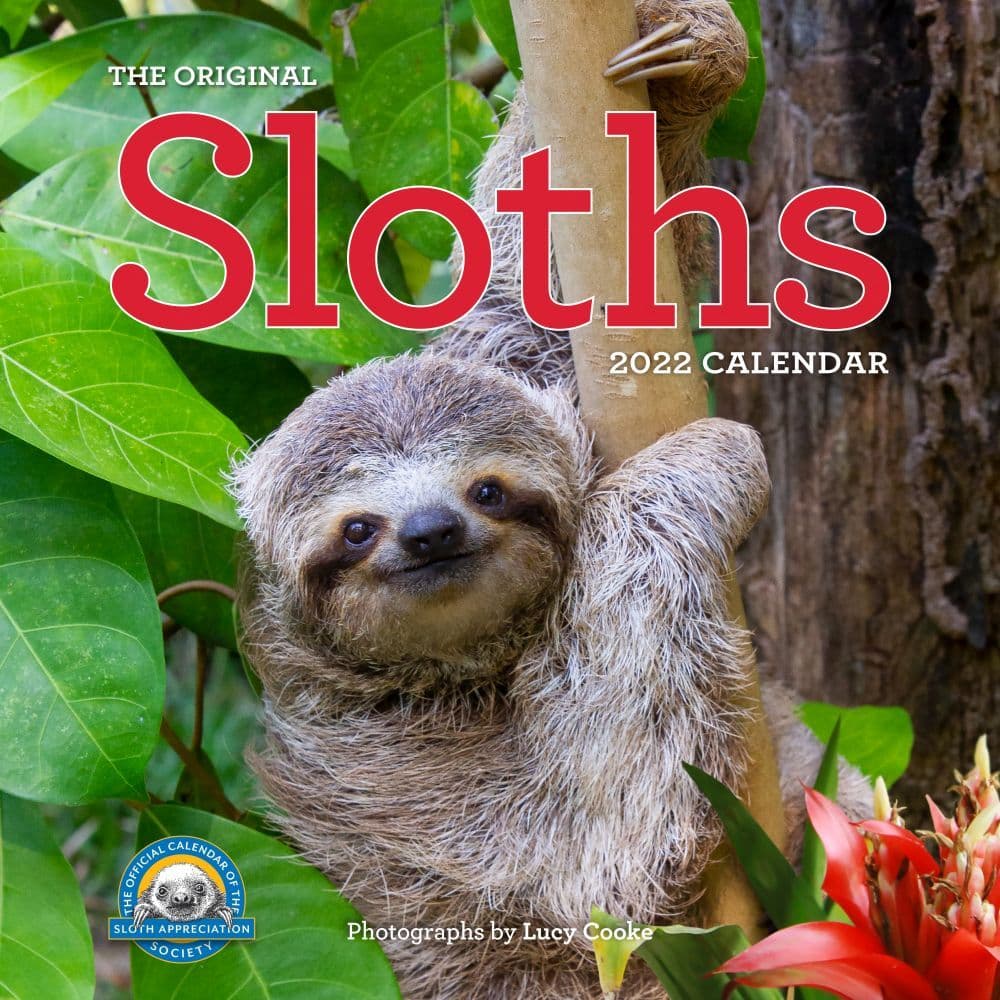 The Original Sloths 2022 Wall Calendar - Calendars.com