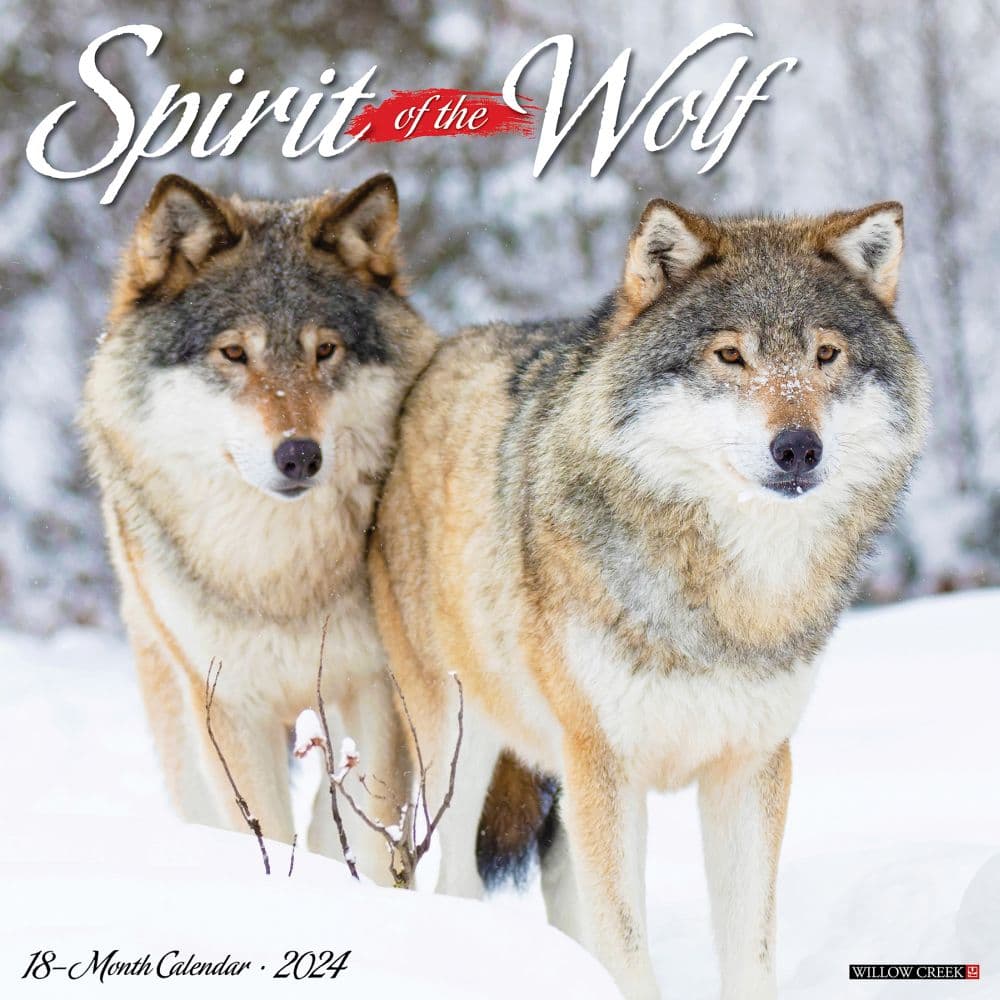 Wolves 2024 Wall Calendar