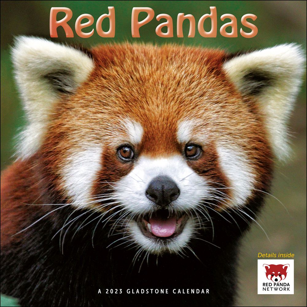 Red Pandas 2023 Wall Calendar