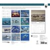 image dolphins-wwf-2024-wall-calendar-alt1