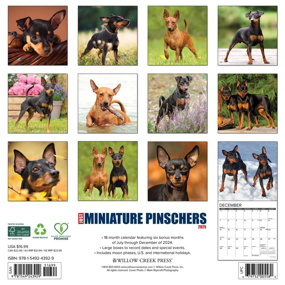 Just Miniature Pinschers 2025 Wall Calendar First Alternate Image width=&quot;1000&quot; height=&quot;1000&quot;
