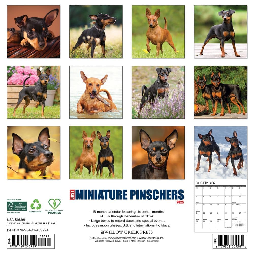 Just Miniature Pinschers 2025 Wall Calendar First Alternate Image width="1000" height="1000"