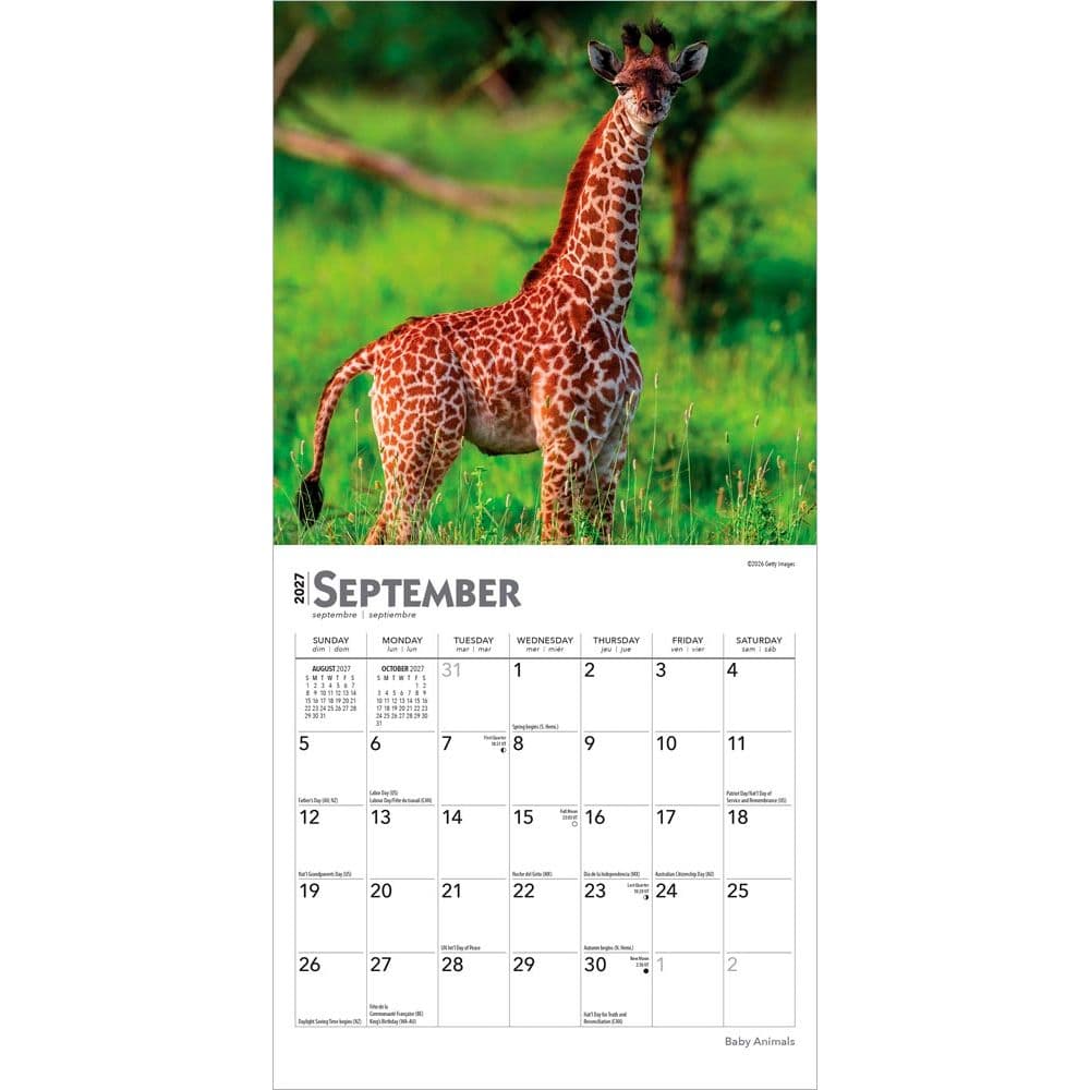 Baby Animals 2027 Mini Wall Calendar Third Alternate Image