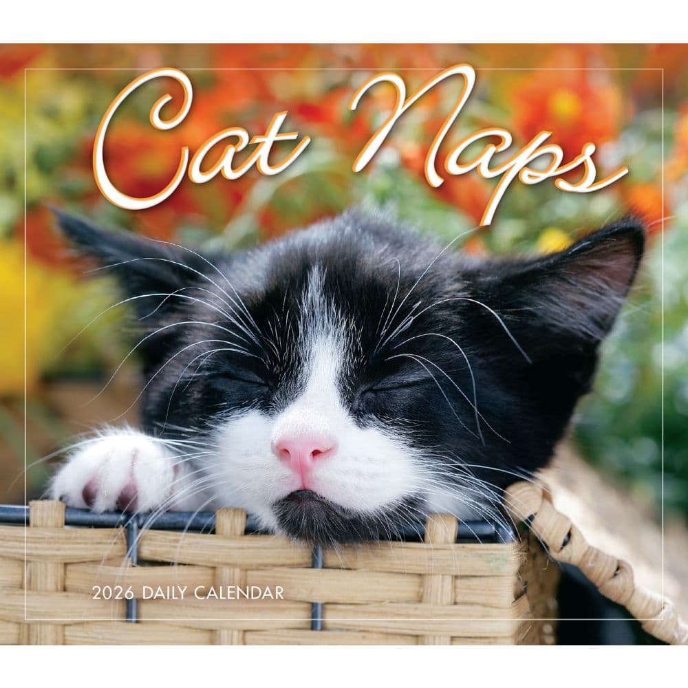 Cat Naps 2026 Desk Calendar Fifth Alternate Image