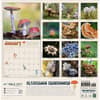 image Marvelous Mushrooms 2027 Wall Calendar First Alternate Image
