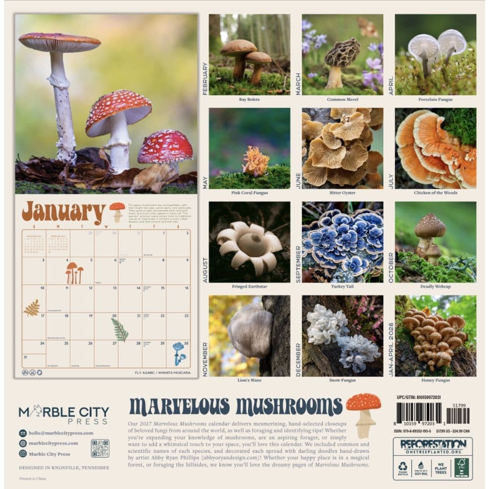 Marvelous Mushrooms 2027 Wall Calendar First Alternate Image