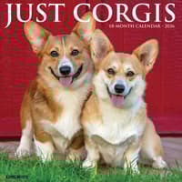 image Just Corgis 2026 Wall Calendar Main Image