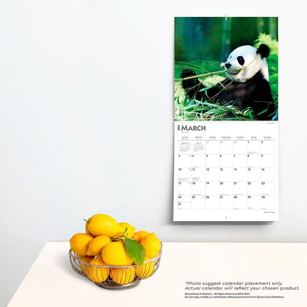 Pandas 2024 Wall Calendar Third Alternate Image width=&quot;1000&quot; height=&quot;1000&quot;