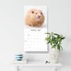 image Hamsters 2027 Wall Calendar Fifth Alternate Image