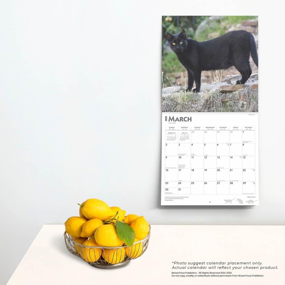 Black Cats 2025 Wall Calendar Fourth Alternate Image