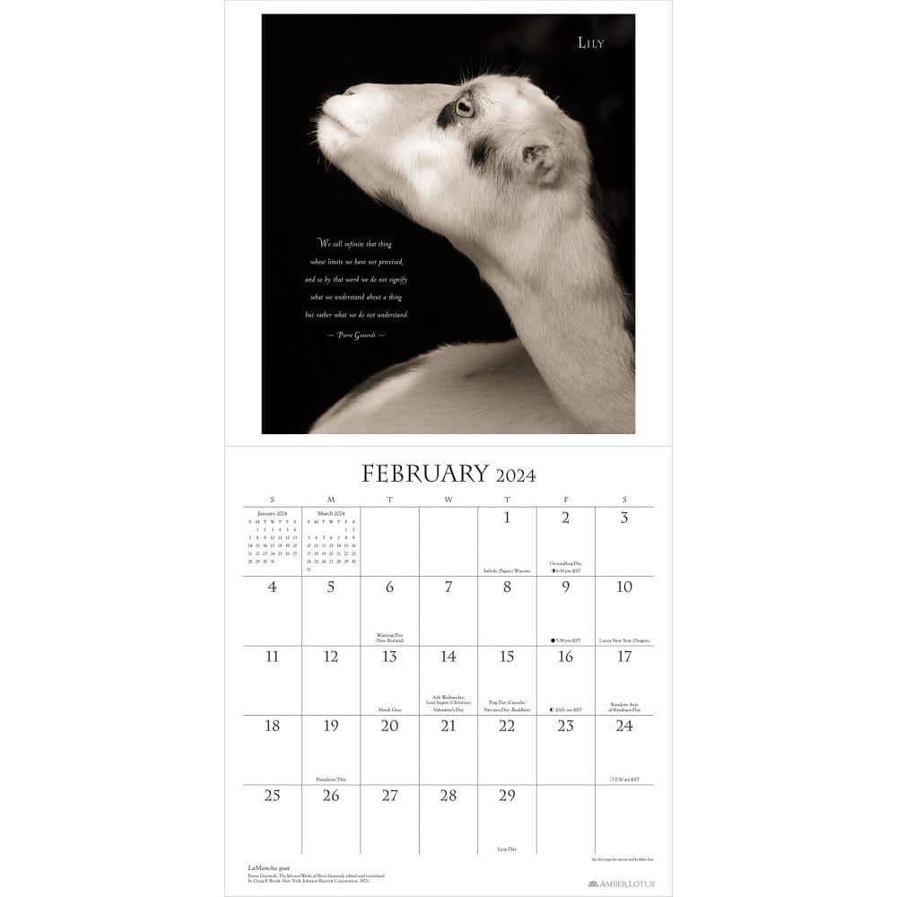 I Am Goat 2024 Wall Calendar