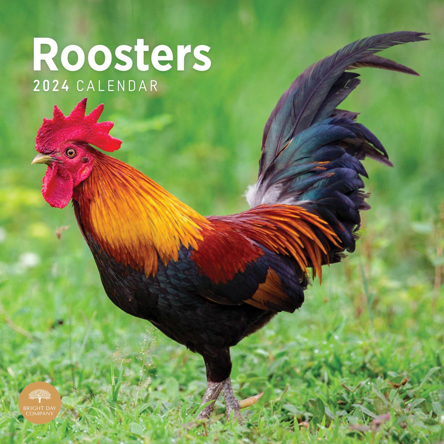 Roosters 2024 Wall Calendar