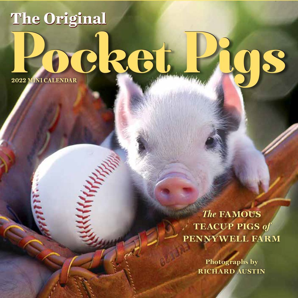 The Original Pocket Pigs 2022 Mini Wall Calendar