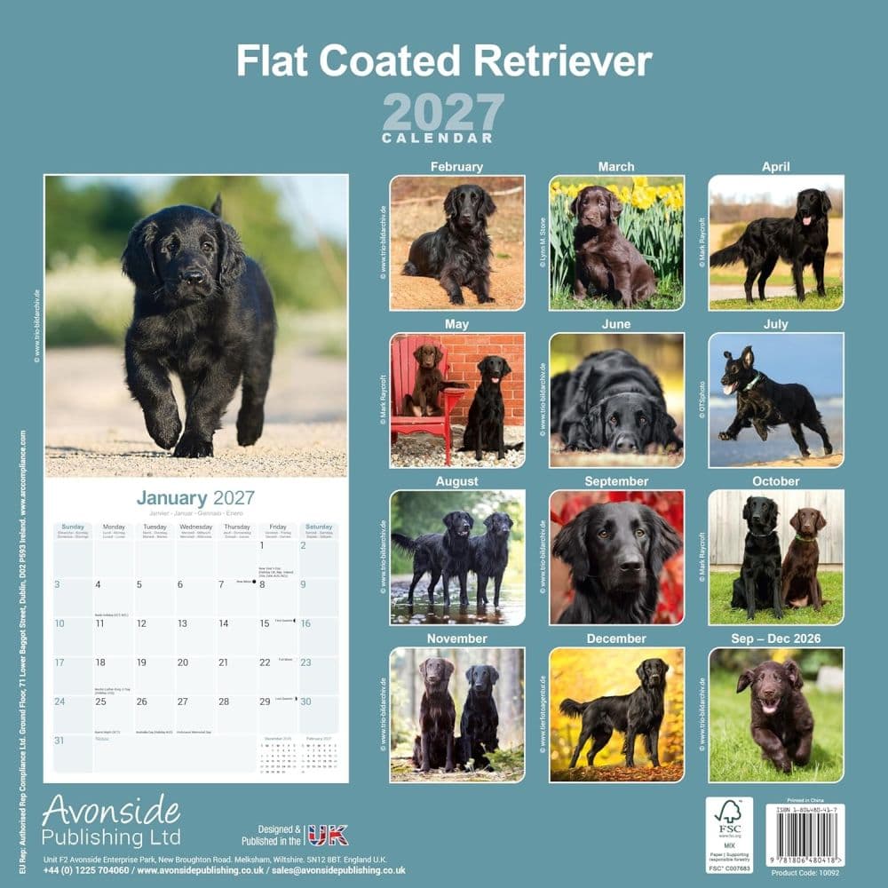 Flatcoated Retriever 2027 Wall Calendar First Alternate Image