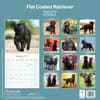 image Flatcoated Retriever 2027 Wall Calendar First Alternate Image