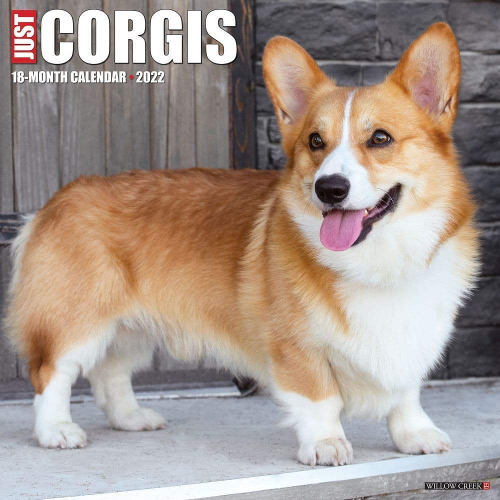 Corgis 2022 Wall Calendar