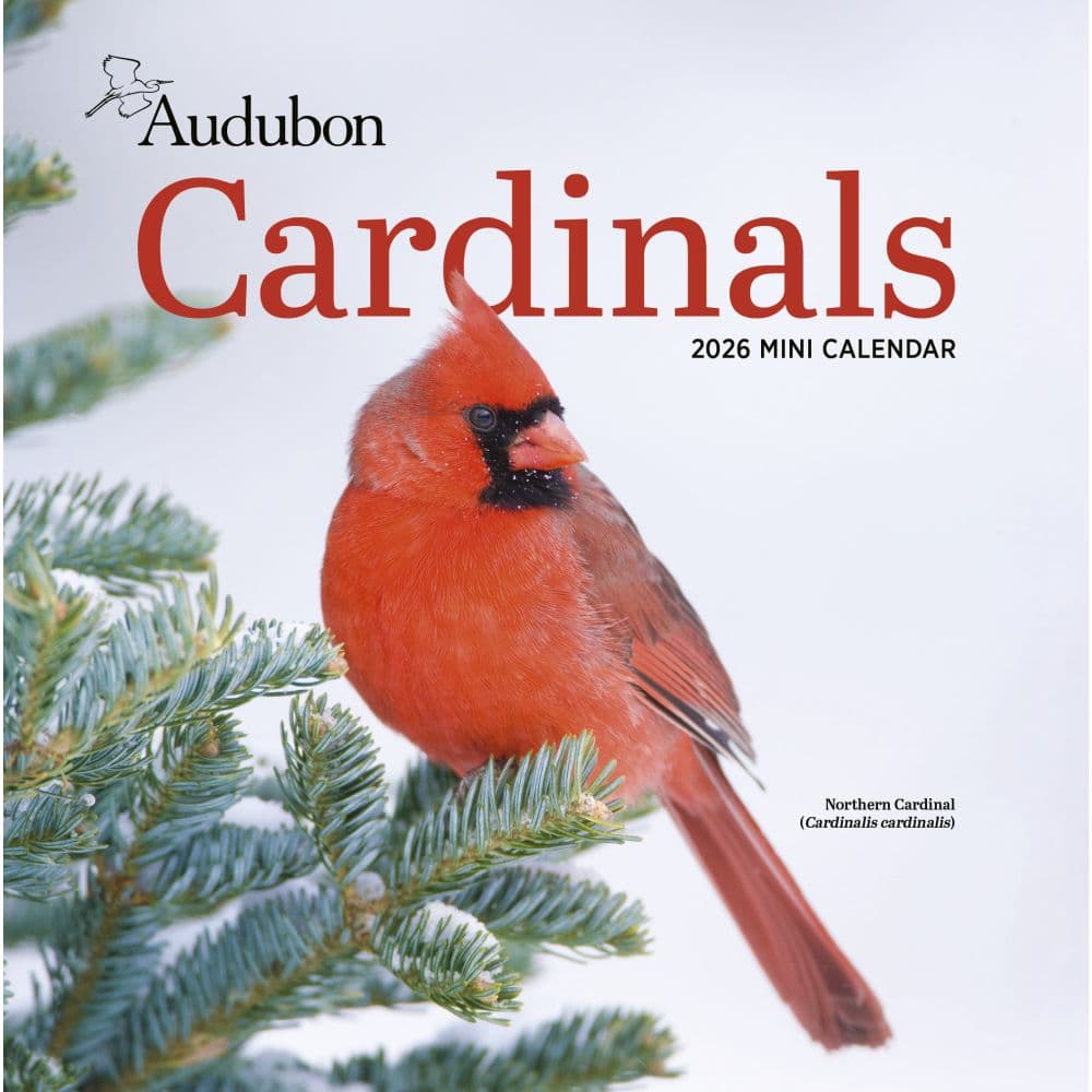 Audubon Cardinals 2026 Mini Wall Calendar Main Image