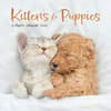 image Kittens and Puppies 2025 Mini Wall Calendar Main Image