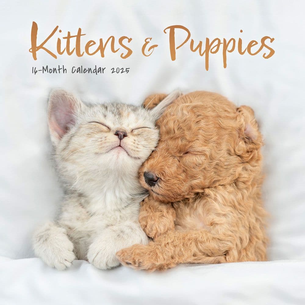 Kittens and Puppies 2025 Mini Wall Calendar Main Image