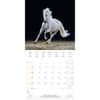 image Magic Horses 2025 Wall Calendar Third Alternate Image width="1000" height="1000"