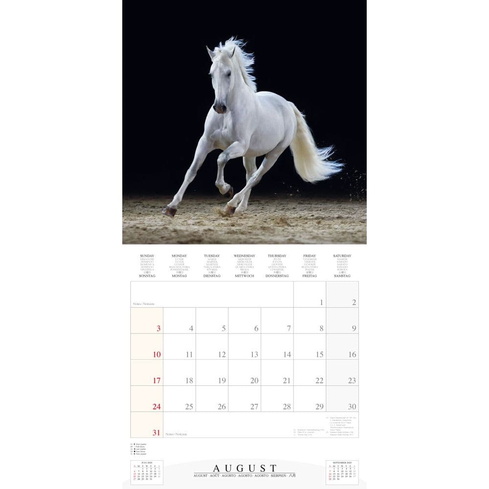 Magic Horses 2025 Wall Calendar Third Alternate Image width="1000" height="1000"