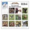 image Montana Wild Babies 2025 Mini Wall Calendar_First Alternate