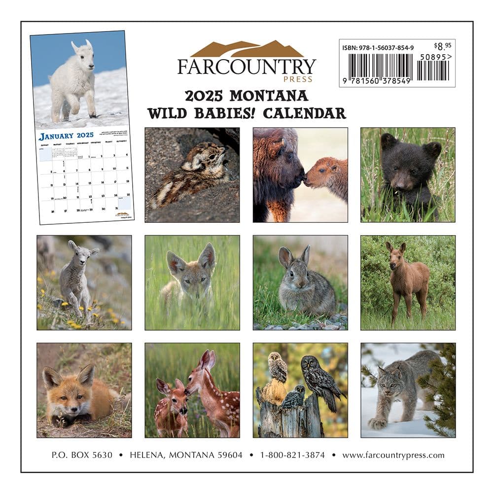 Montana Wild Babies 2025 Mini Wall Calendar_First Alternate