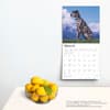 image Great Danes 2025 Wall Calendar Fourth Alternate Image width=&quot;1000&quot; height=&quot;1000&quot;