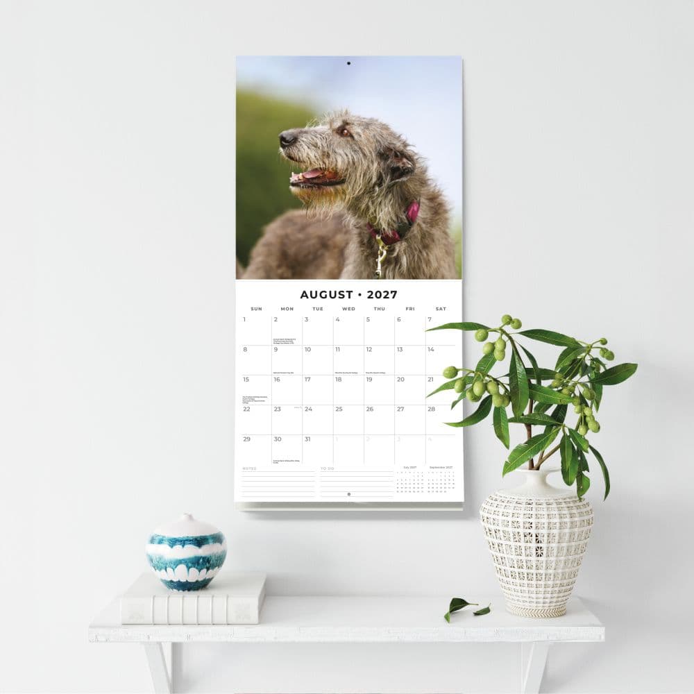 Irish Wolfhounds 2027 Wall Calendar Fifth Alternate Image