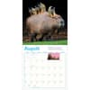 image Capybara 2026 Wall Calendar Third Alternate Image