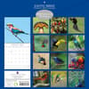 image Exotic Birds 2025 Wall Calendar First Alternate Image width=&quot;1000&quot; height=&quot;1000&quot;