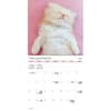 image Kittens Bilingual French and English 2025 Wall Calendar Alt3