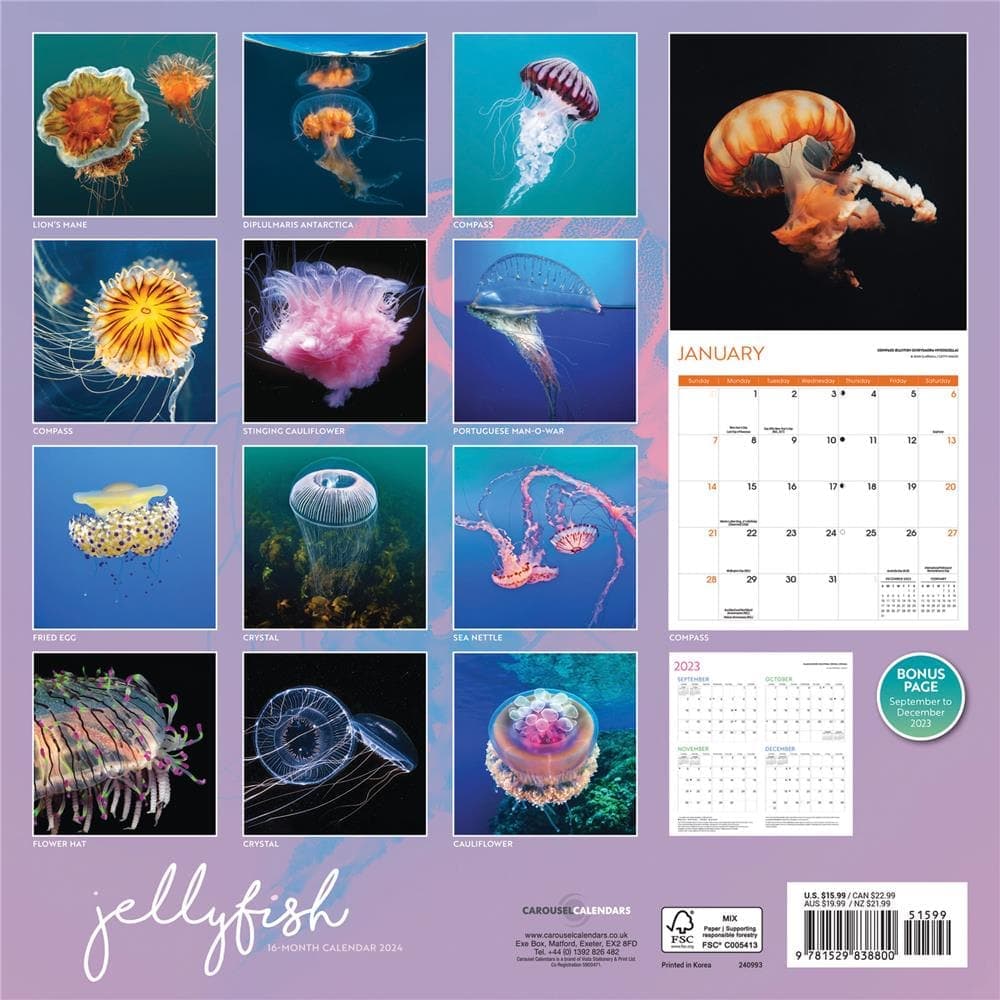 Jellyfish 2024 Wall Calendar