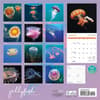 image Jellyfish 2024 Wall Calendar First Alternate Image width=&quot;1000&quot; height=&quot;1000&quot;