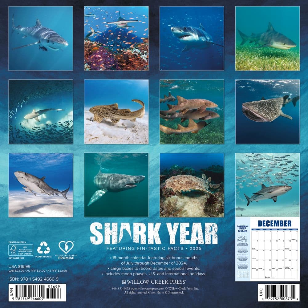 Shark Year 2025 Wall Calendar First Alternate Image width=&quot;1000&quot; height=&quot;1000&quot;