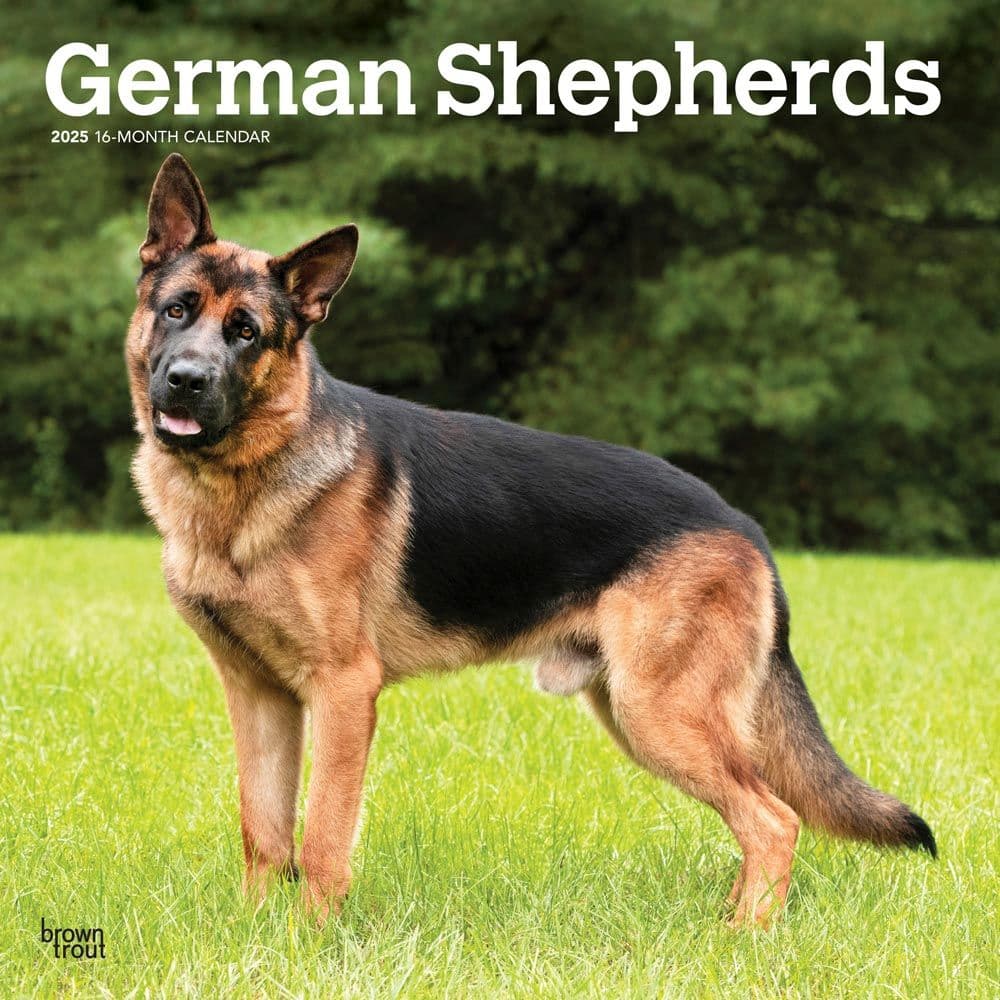 German Shepherds 2025 Wall Calendar