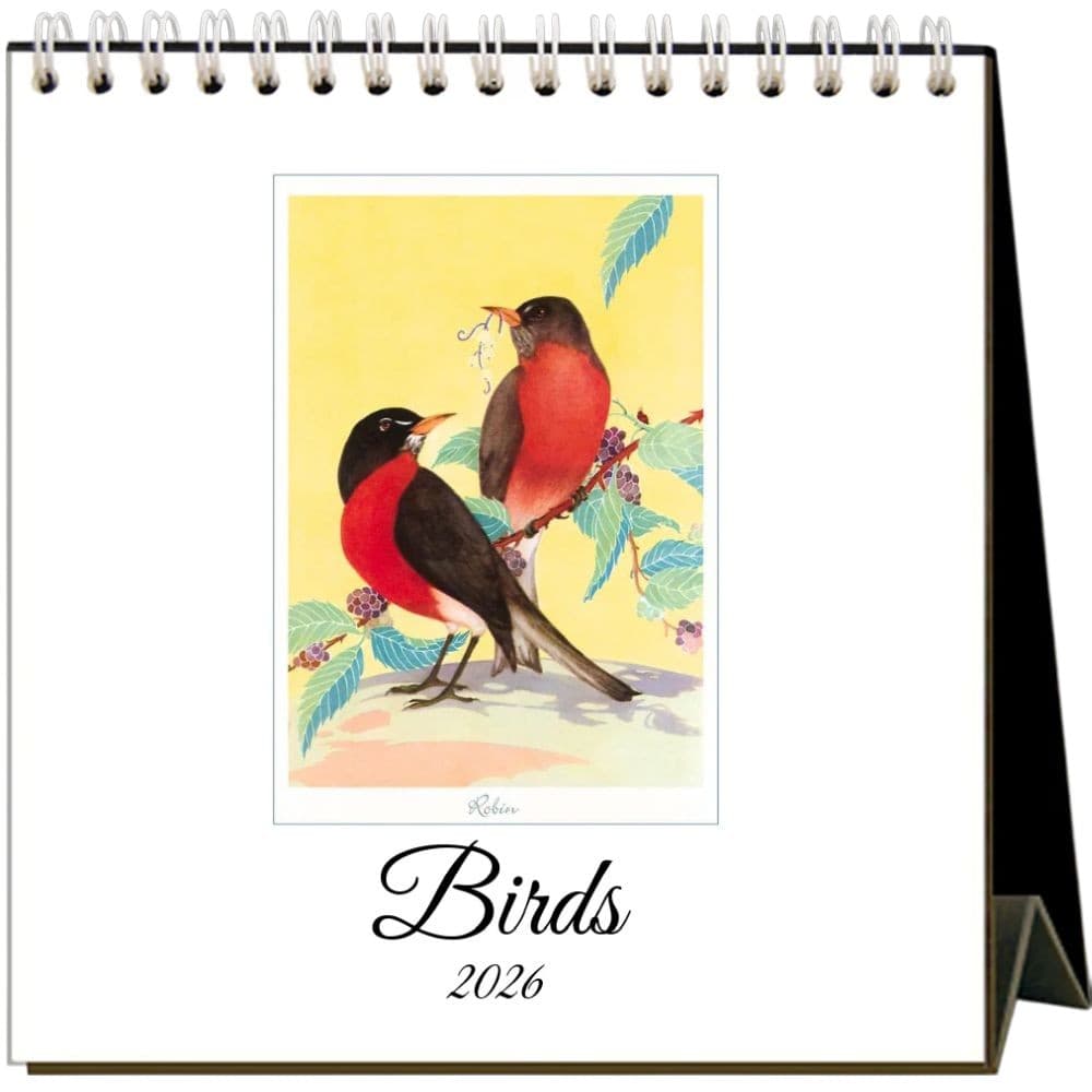 Birds 2026 Easel Desk Calendar Main Product Image