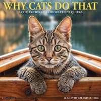 image Why Cats Do That 2026 Wall Calendar Main Image