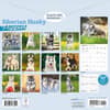 image Siberian Husky Puppies 2026 Wall Calendar First Alternate Image