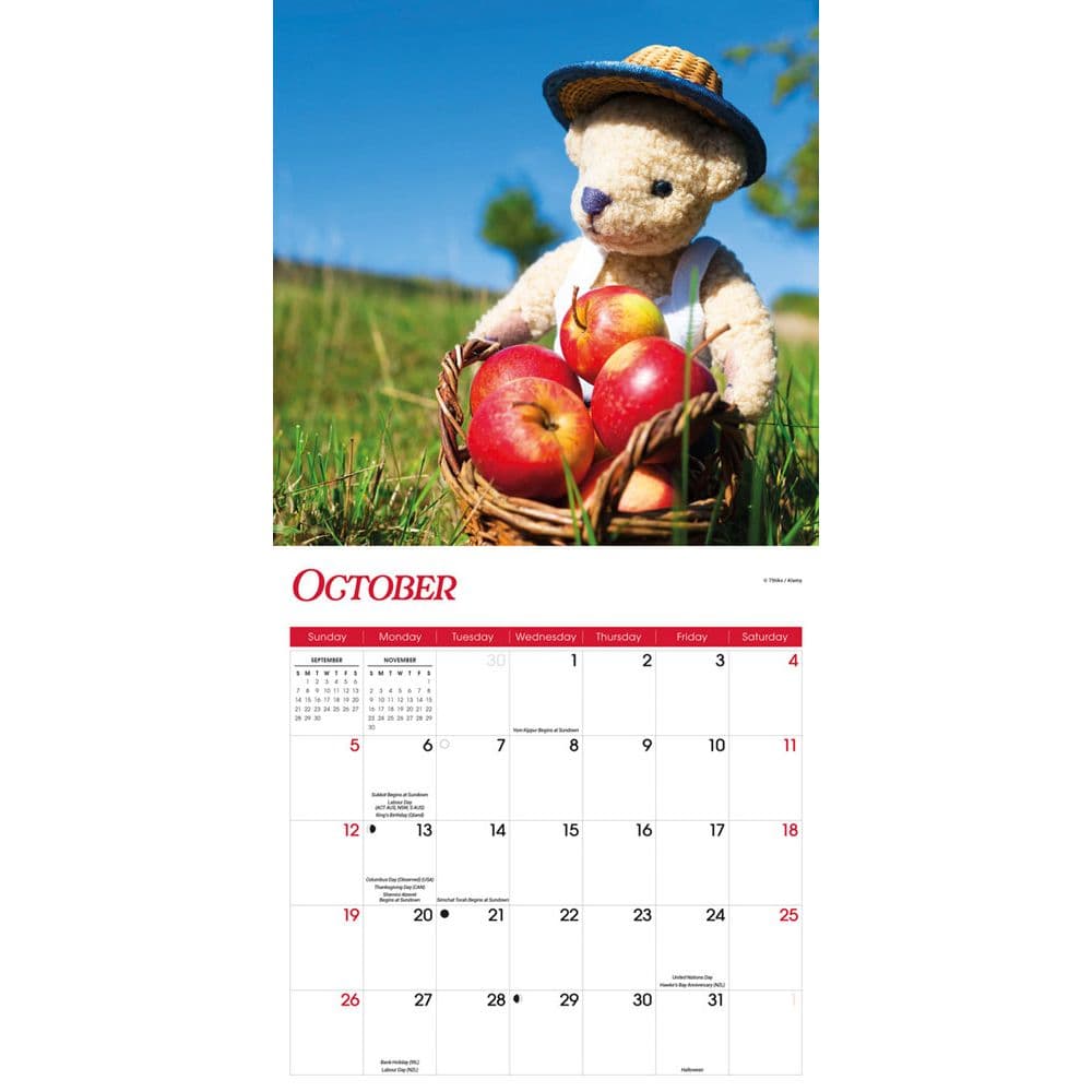 Teddy Bears 2025 Wall Calendar Fourth Alternate Image width=&quot;1000&quot; height=&quot;1000&quot;