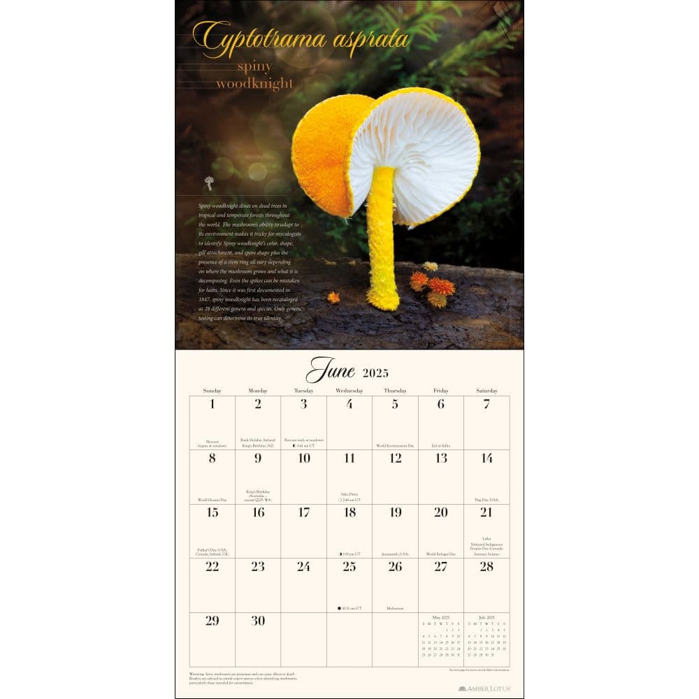 Miraculous Mushroom 2025 Wall Calendar Second Alternate Image width=&quot;1000&quot; height=&quot;1000&quot;