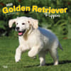 image Golden Retriever Puppies 2025 Wall Calendar  Main Image