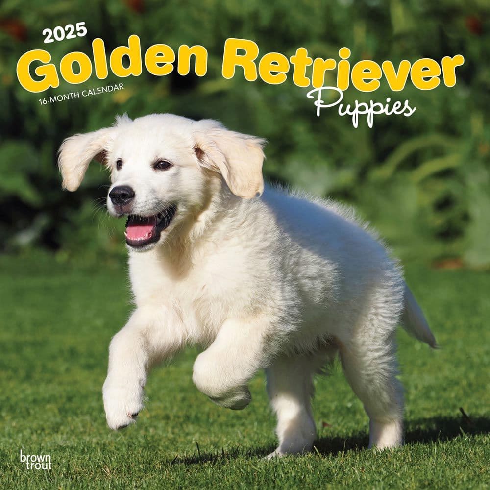Golden Retriever Puppies 2025 Wall Calendar  Main Image