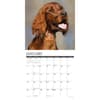 image Irish Setters Just 2025 Wall Calendar